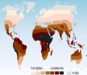 Карта цвета кожи на планете.